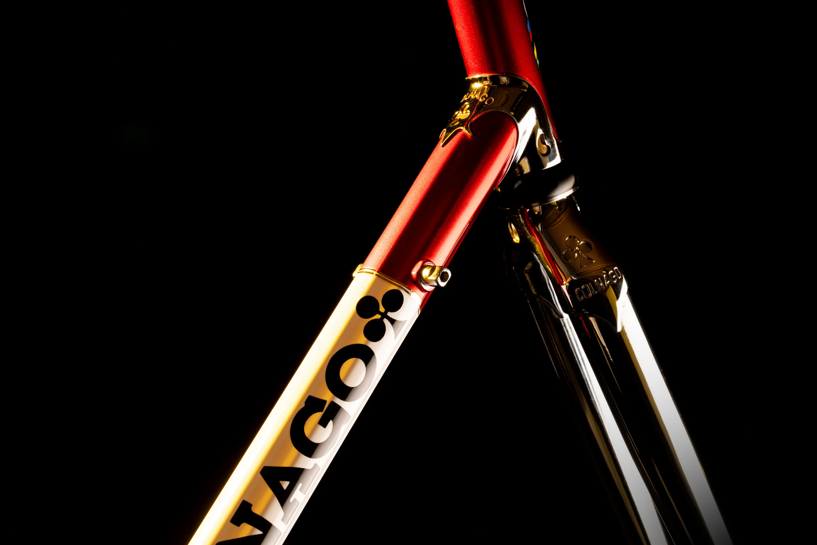 Master Bike - Image 4