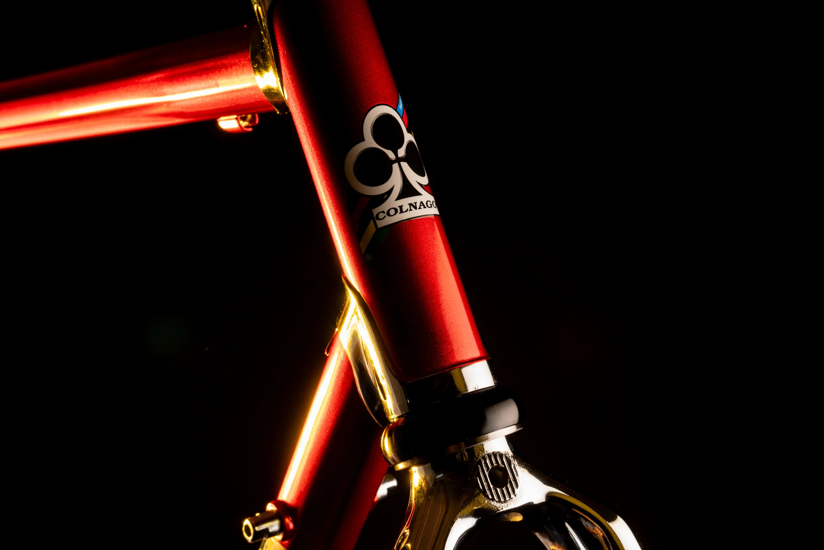 Master Bike - Image 7